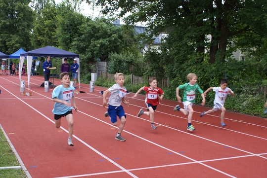 DSC00030.jpg