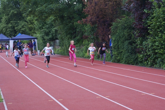 DSC00039.jpg