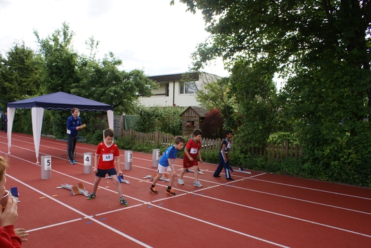 DSC09987.jpg