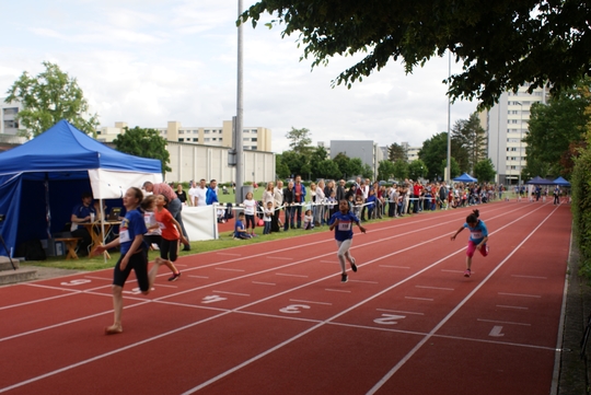 DSC09989.jpg
