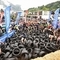 sportograf-79096727.jpg