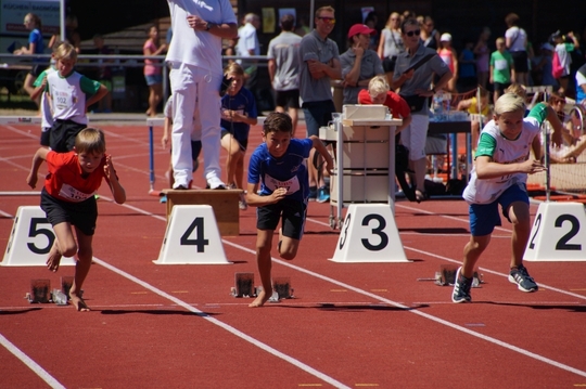 DSC00038.jpg