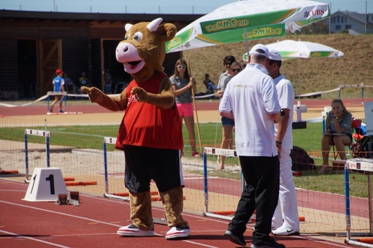 DSC00081.jpg