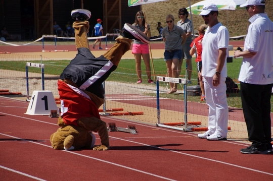 DSC00084.jpg