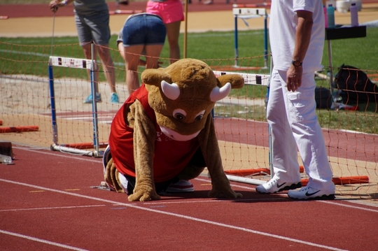 DSC00091.jpg
