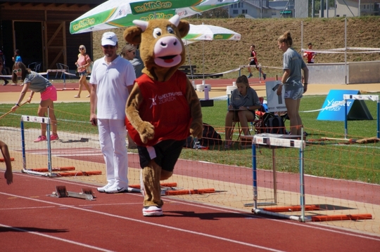 DSC00095.jpg