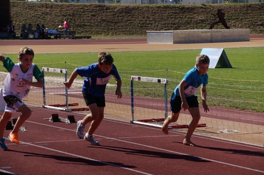 DSC00162.jpg