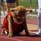 DSC00091.jpg