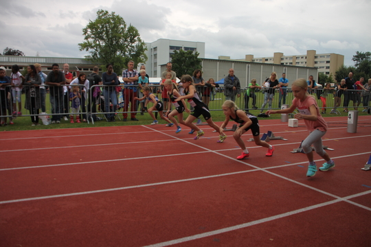 IMG_1465.jpg