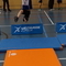 DSC00391.jpg