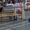 DSC00502.jpg