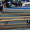 DSC00509.jpg