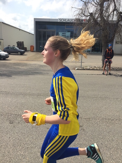 2017-03-26_15.23.25-1.jpg