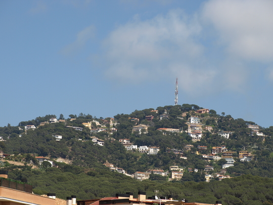 P4153763.jpg