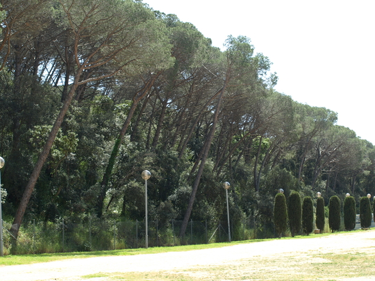 P4153765.jpg