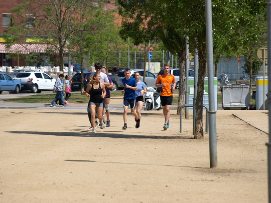 P4153766.jpg