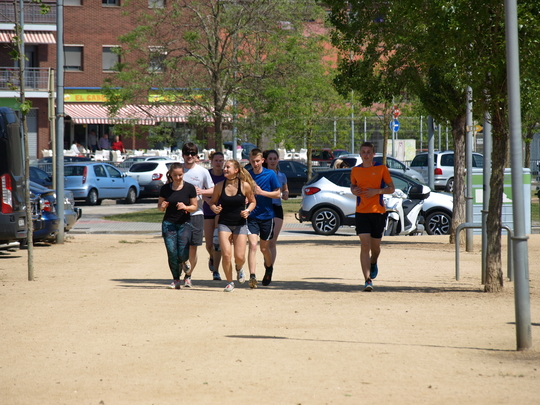 P4153767.jpg