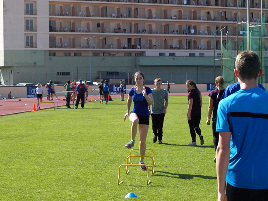 P4173824.jpg