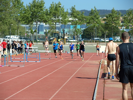P4173837.jpg