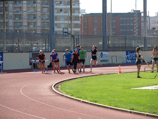 P4173858.jpg