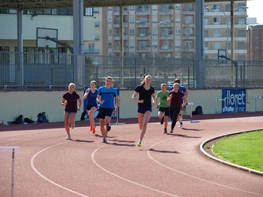 P4173859.jpg