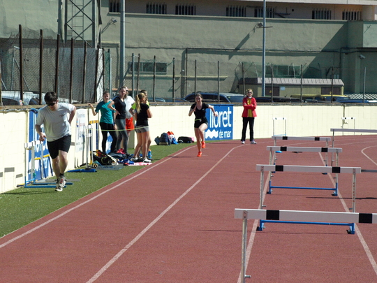 P4194153.jpg