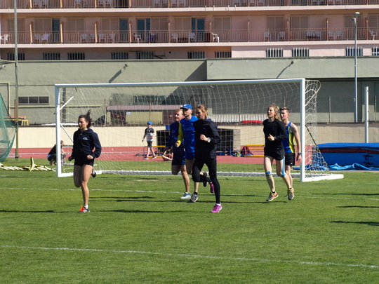 P4194254.jpg