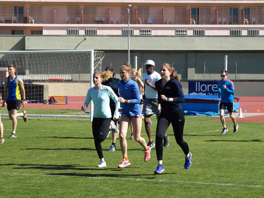 P4194255.jpg