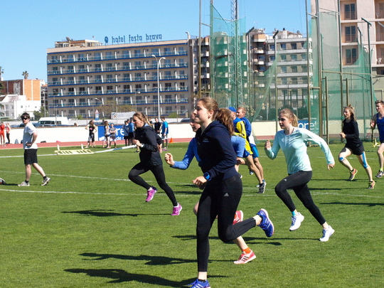P4194257.jpg