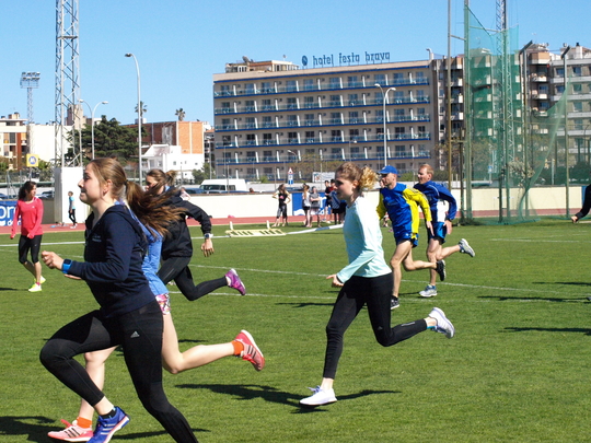 P4194258.jpg