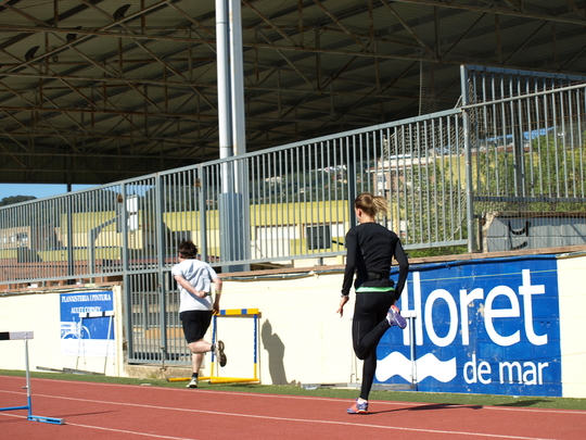 P4194324.jpg