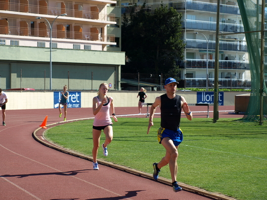 P4194332.jpg