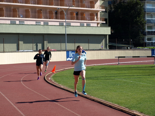 P4194339.jpg