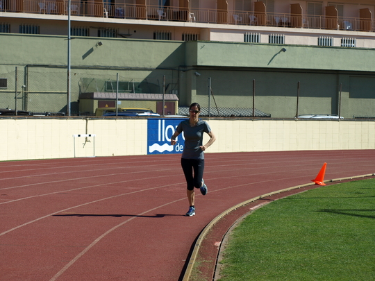 P4194355.jpg