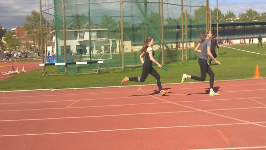 WP_20170419_007.jpg