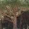 P4153764.jpg