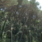 P4153765.jpg