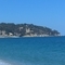 WP_20170421_001.jpg