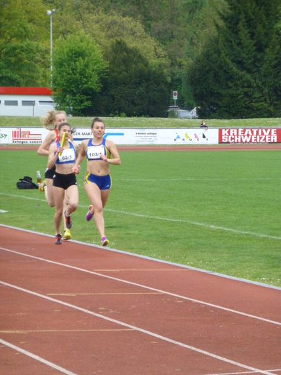 P1010052.jpg