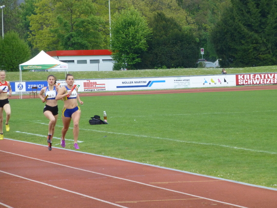 P1010054.jpg