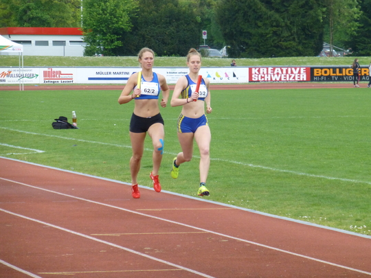 P1010055.jpg