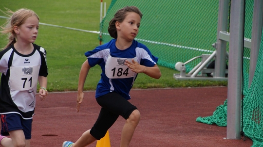 DSC01310.jpg