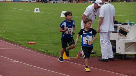DSC01334.jpg