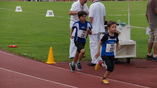 DSC01335.jpg