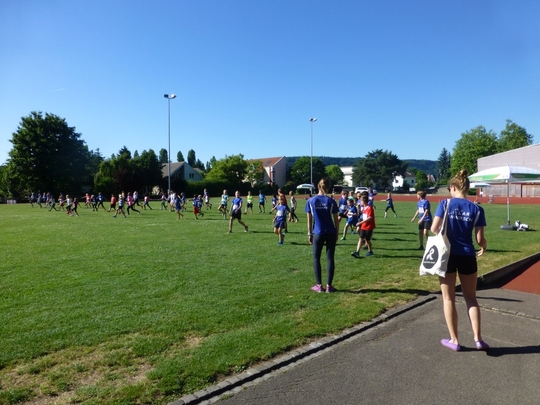 P1010173.jpg
