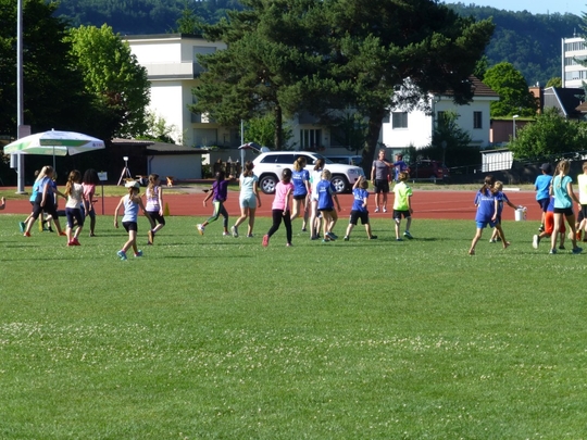 P1010174.jpg