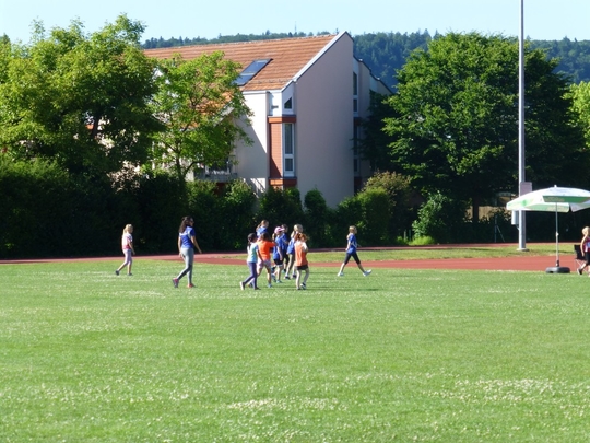 P1010175.jpg
