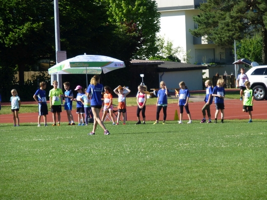 P1010176.jpg