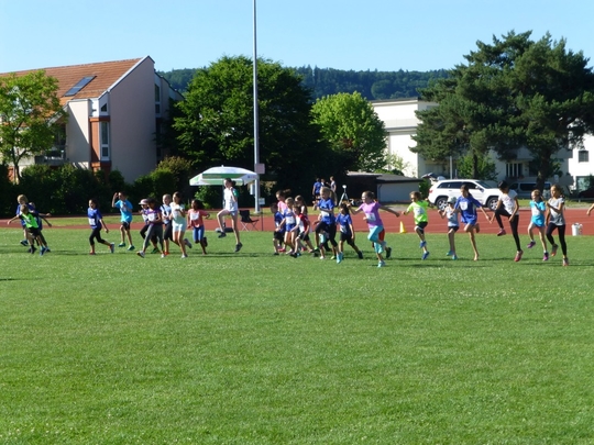 P1010177.jpg