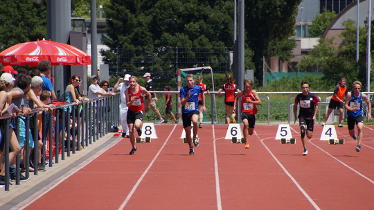 DSC01709.jpg